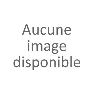 Raquette de Badminton Dmantis Lightning 09 (non cordée) 